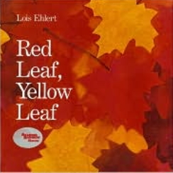 제8권: ,Red Leaf, Yellow Leaf